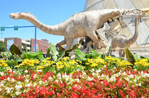 Outside view of the Indianapolis Children's Museum